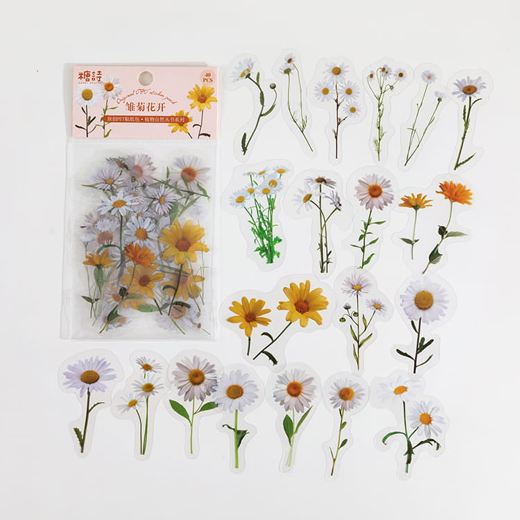 Pack de 40 autocollants de la série Natural