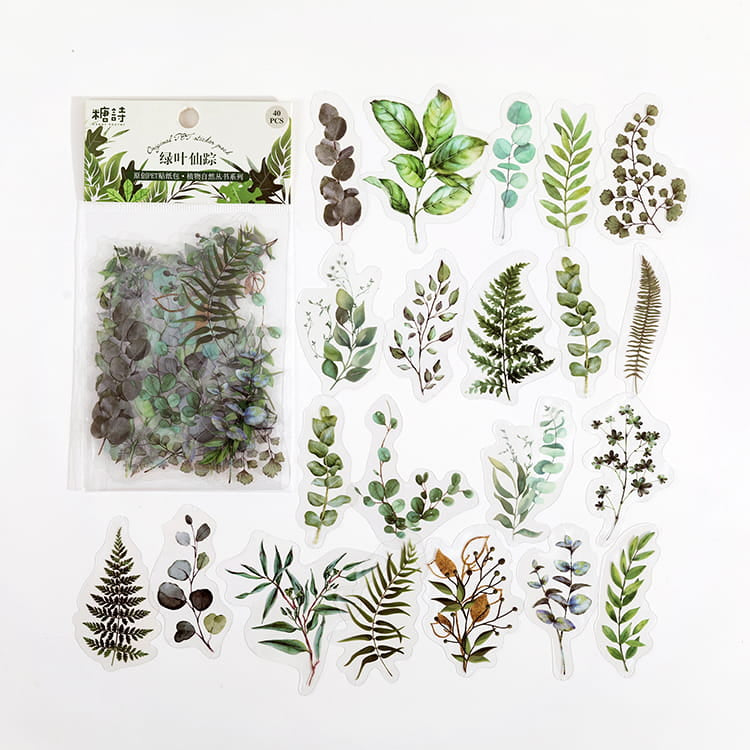 Pack de 40 autocollants de la série Natural
