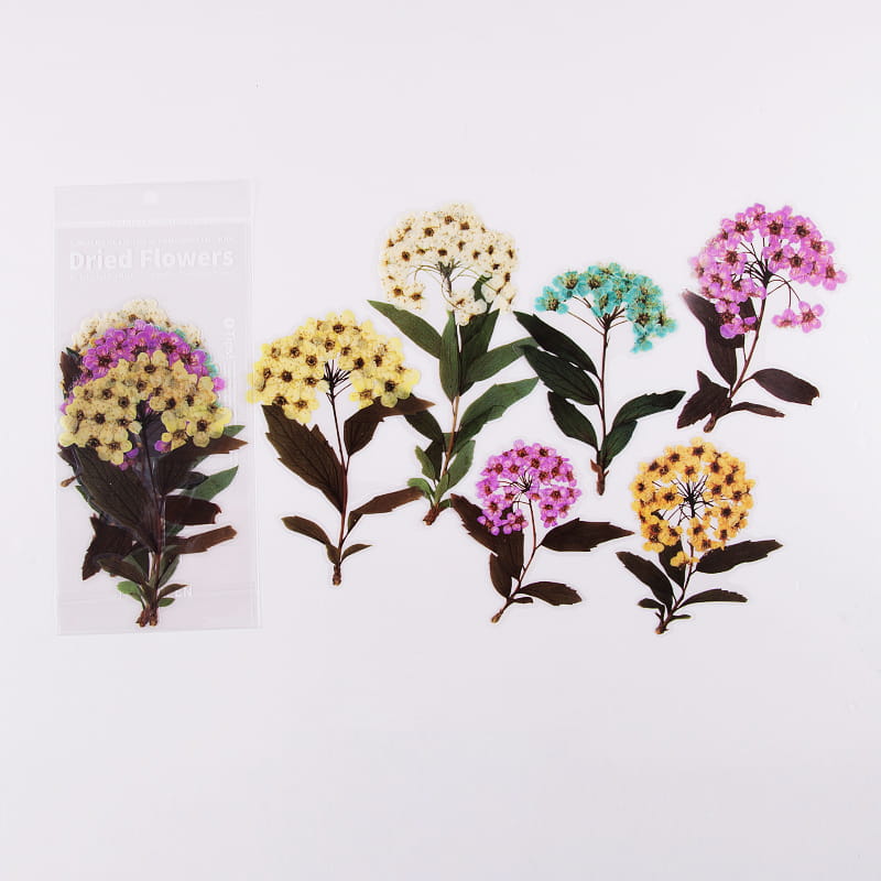 Lot de 6 grands autocollants de fleurs séchées