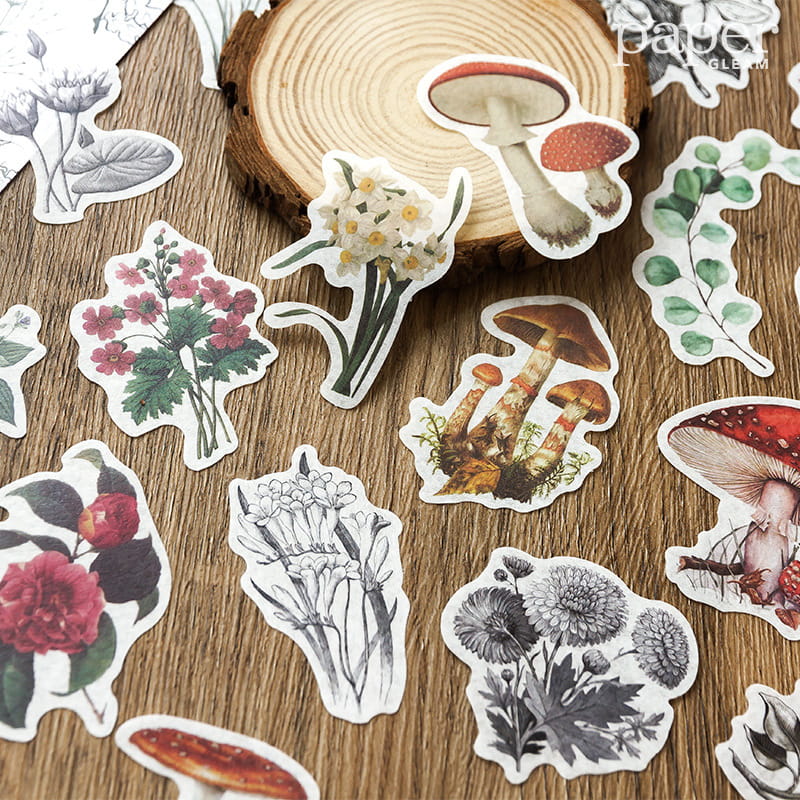 Pack de 80 autocollants Washi vintage 