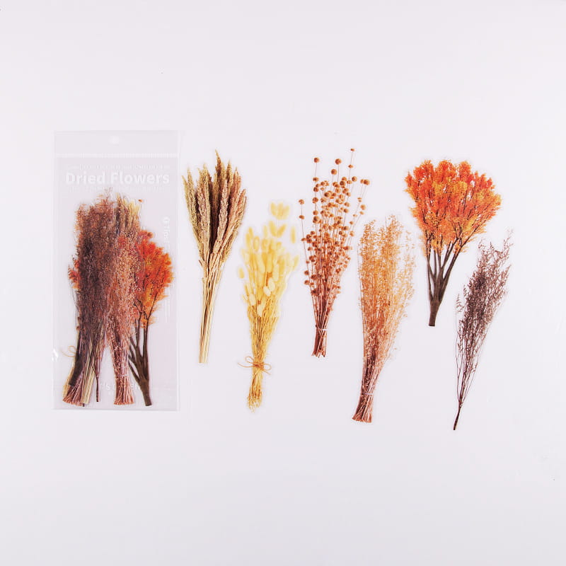 Lot de 6 grands autocollants de fleurs séchées