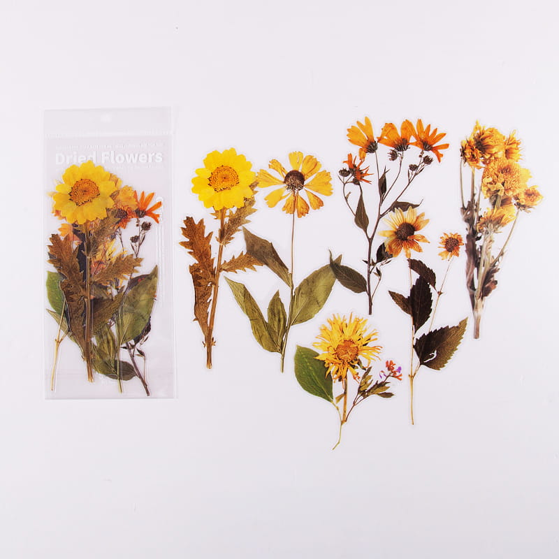Lot de 6 grands autocollants de fleurs séchées