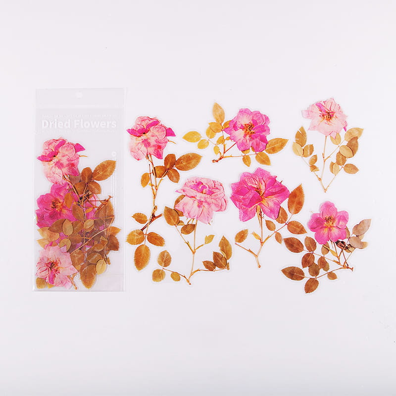 Lot de 6 grands autocollants de fleurs séchées