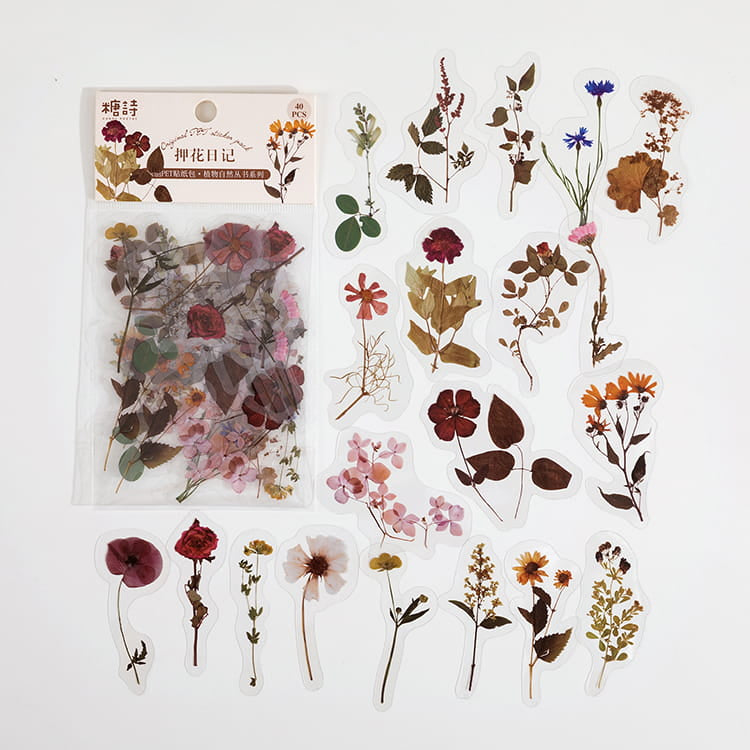 Pack de 40 autocollants de la série Natural