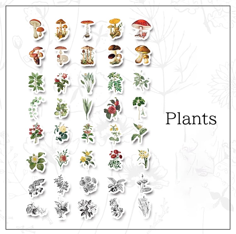 Pack de 80 autocollants Washi vintage 