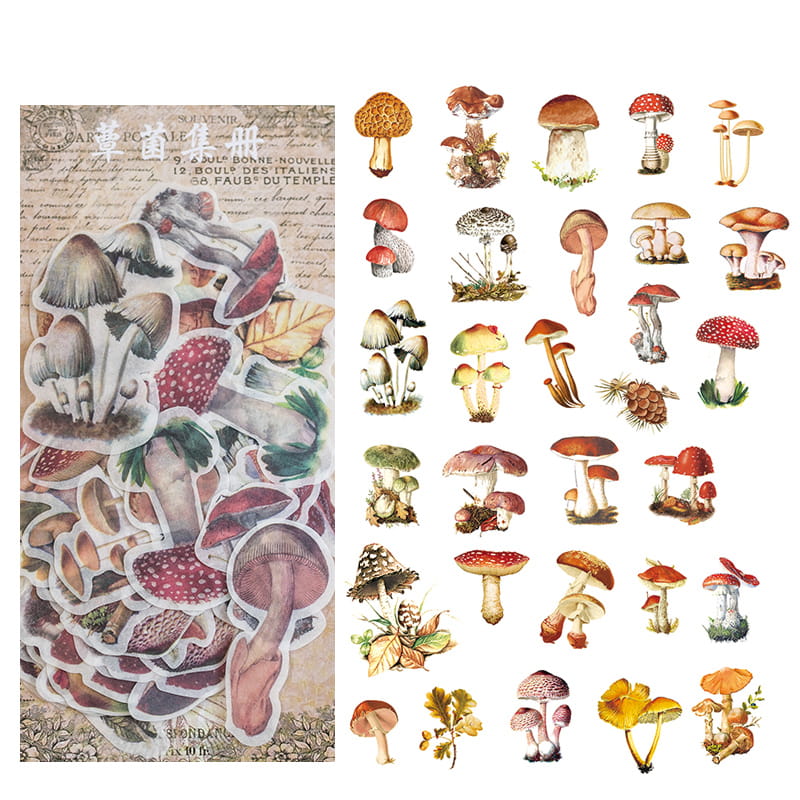 60 Pcs Washi Paper Sticker Pack